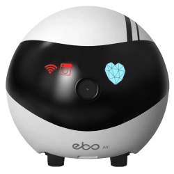EBO