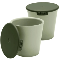 BİBS