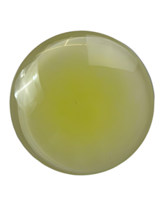 New Fashion Popsocket Grip Yellow