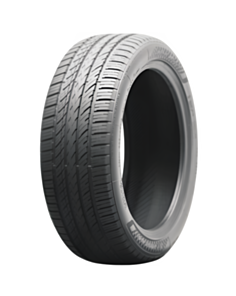 Avtomobil təkəri Nankang NS-25 95V M+S 245\45\17