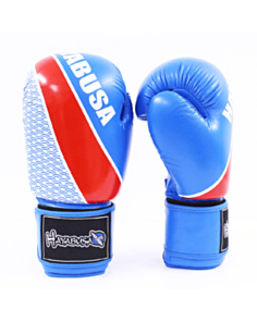 Boks əlcəyi Aspo 530902