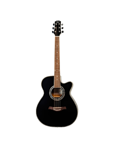Akustik gitara Flight  F-230C BK 