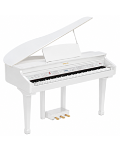 Rəqəmsal royal Orla Grand 120