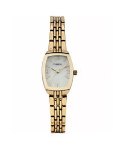 Saat Timex TW2Y22400