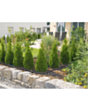 Damcı sistemi üçün şlanq Gardena 1386