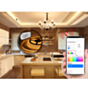 MOES Ishiq Smart Led Strip LIGHTZLS-RCW-EU-5M-MS 6974246474304