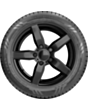 Шина для автомобиля Nokian Hakka Black 2 102Y XL 275/35R20