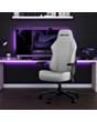 Gaming Chair AndaSeat Luna AD18-44-G-F Grey