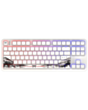Игровая клавиатура Red Square Alumix TKL Satory RSQ-20055