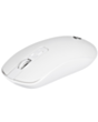 Mouse 2E MF210 White