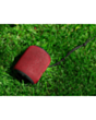 Portativ akustika 2E SoundXPod 2E-BSSXPWRD Red