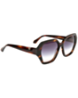Солнцезащитные очки Ana Hickmann AH9436 E01A