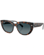 Солнцезащитные очки Ray-Ban RB2286POL 1413S3