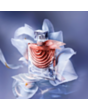 Qadın parfümü Lancome La Vie Est Belle Iris Absolu EDP 50 ml LE222800
