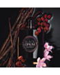 Qadın parfümü YSL Black Opium Le Parfum EDP 30 ml LE091100
