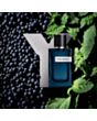 Kişi parfümü YSL Y Intense EDP 60 ml LE162501