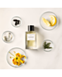 Uniseks parfüm Essential Parfums Nice Bergamote EDP 100 ml 001V01