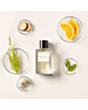 Uniseks parfüm Essential Parfums Orange X Santal EDP 100 ml 002V01