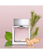 Kişi parfümü Calvin Klein Euphoria EDT 100 ml 88300178278