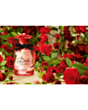 Qadın parfümü Dolce & Gabbana Dolce Rose EDT 75 ml PCDG24 