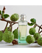 Uniseks parfüm Hermes Un Jardin Sur Le Nil EDT 100 ml 3346138900087