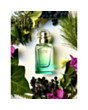 Uniseks parfüm Hermes Un Jardin Sur Le Nil EDT 50 ml 3346138900094