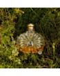 Qadın parfümü Lalique Soleil Vibrant EDP 100 ml II12201