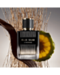 Kişi parfümü Elie Saab L'Homme EDP 100 ml 4602610