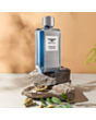Kişi parfümü Bentley Momentum Unlimited EDT 100 ml B160508