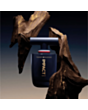 Kişi parfümü Tommy Hilfiger Impact EDP 100 ml 7640496672119