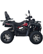 Kvadrosikl Mikilon Hammer 200 L Pro Restail Black