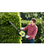 Benzinli kolkəsən Ryobi RHT25X55R