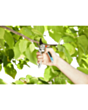 Bağ qayçısı Gardena 8906