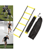 Futbol nərdivanı Aspo 530911