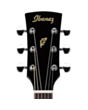 Akustik gitara Ibanez PF15-BK