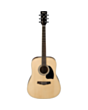Akustik gitara Ibanez PF15-NT