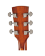 Akustik gitara Ibanez PF15-NT
