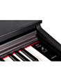 Rəqəmsal piano Orla CDP2 RW