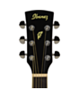 Elektrikli akustik gitara Ibanez PF15ECE-BK