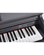 Rəqəmsal piano Artesia DP-3 II RSW