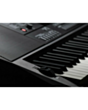 Casio CT-X3000