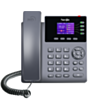 IP telefon Najivin VIP-T70PGN