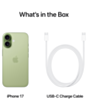 iPhone 17 256 GB Sage