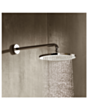 Təpə duş Hansgrohe 26220000