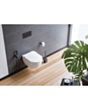 Крышка для унитаза Deante Peonia CDE_6SOZ