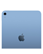 iPad 11-inch (A16) Wi-Fi 256 GB Blue