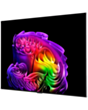 Televizor LG OLED65G6RLA.AMCN