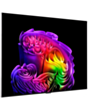Televizor LG OLED65G6RLA.AMCN