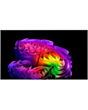 Televizor LG OLED83G6RLA.AMCN