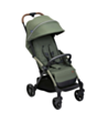 Uşaq arabası Chicco Goody Xplus Twinkle 00087040380000